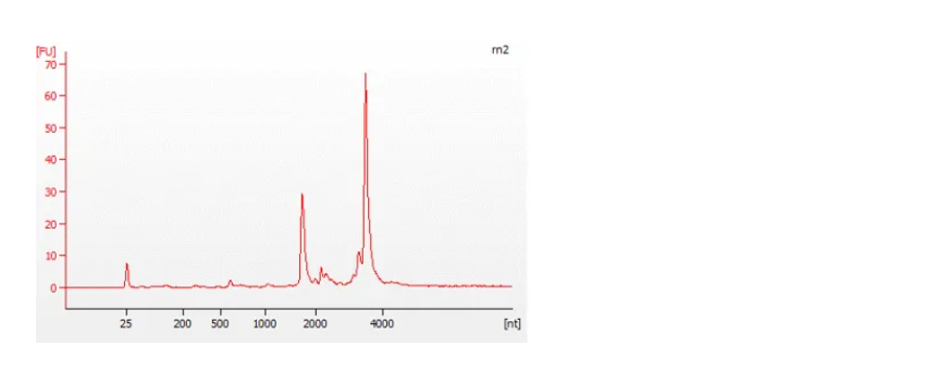 RNA Bioanalyzer good