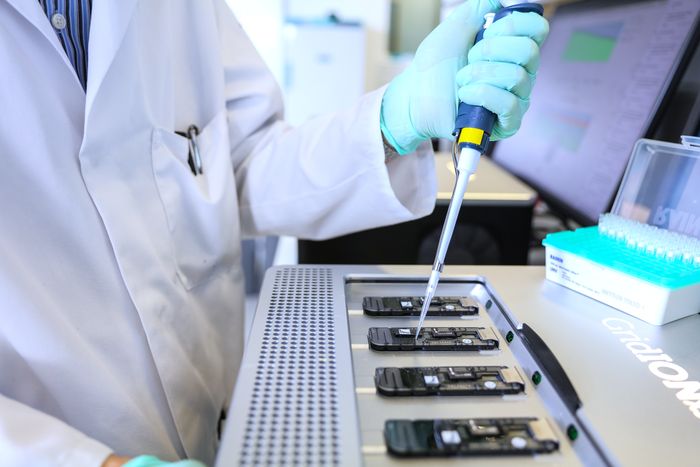 Oxford Nanopore Ampore TB