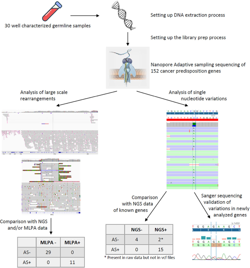 Graphical abstract of research using Oxford Nanopore adaptive sampling