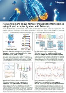 Teloseq poster