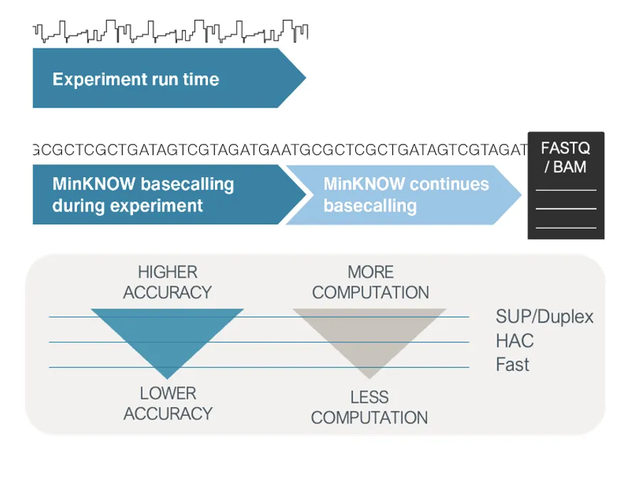 Nanopore sequencing accuracy | Oxford Nanopore Technologies