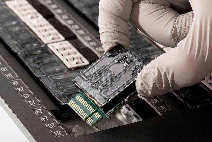 Silent dissemination of plasmid-borne tigecycline resistance gene *tet*(X6) in livestock-associated *Acinetobacter towneri*