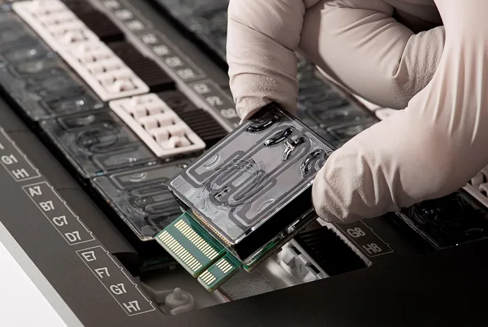 The rise and fall of the ancient northern pike master sex determining gene