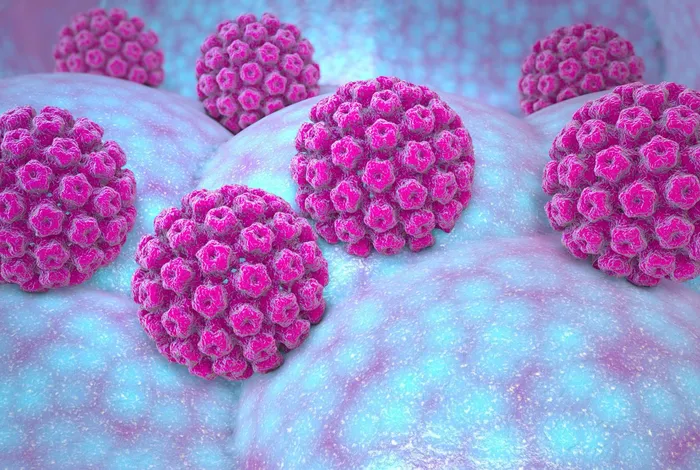 Whole-genome sequencing and genetic diversity of severe fever with thrombocytopenia syndrome virus using multiplex PCR-based nanopore sequencing, Republic of Korea