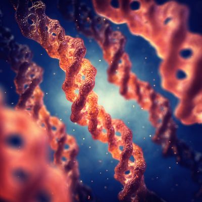 Collagen triple helix 