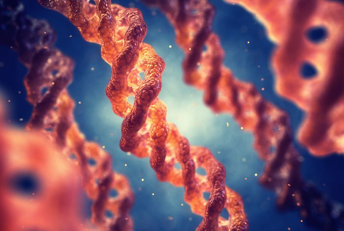 Cytoplasmic polyadenylation by TENT5A is required for proper bone formation