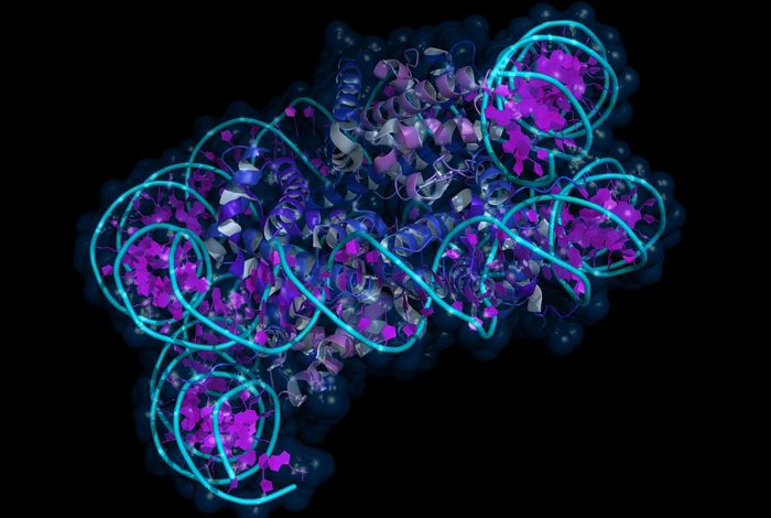 Slaying the last unicorn - discovery of histones in the microalga *Nanochlorum eucaryotum*