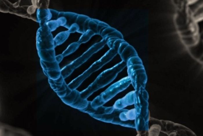 Using Targeted Nanopore Technologies