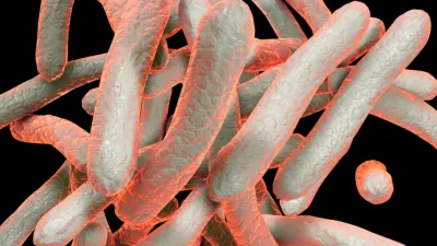 Heterogeneous Genetic Location of mcr-1 in Colistin-Resistant Escherichia coli Isolated from Humans and Retail Chicken Meat in Switzerland: Emergence of mcr-1-Carrying IncK2 Plasmids