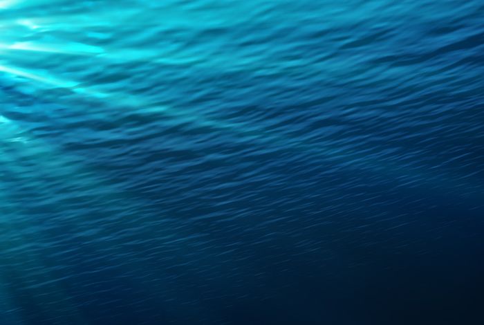 Tripartite holobiont system in a vent snail broadens the concept of chemosymbiosis