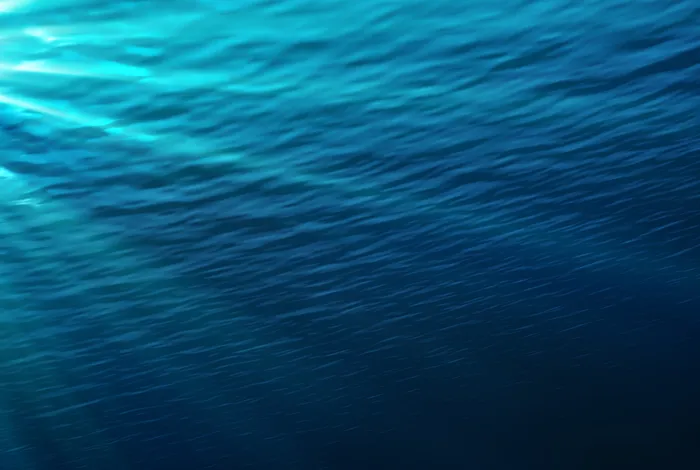 Tripartite holobiont system in a vent snail broadens the concept of chemosymbiosis