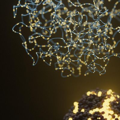 Exploring the future of rapid leukaemia diagnosis with a single-platform workflow