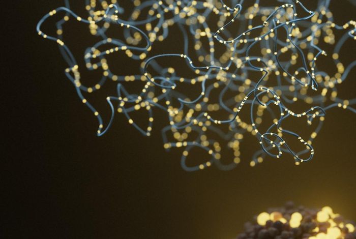 Case study: exploring the future of rapid leukaemia diagnosis with a single-platform workflow