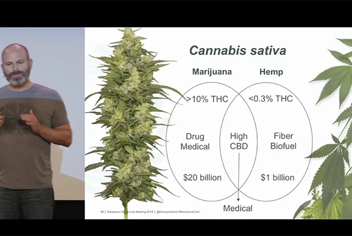 Todd Michael: Unraveling the mysteries of CBD and THC content with a chromosome resolved Cannabis genome