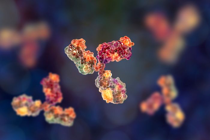 Adaptive sequencing in transplantation: identifying immune-genomic risk profiles