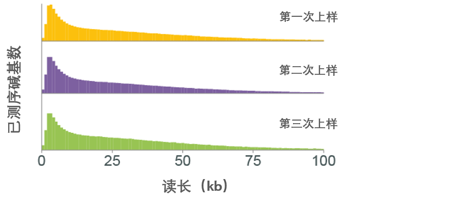 Chinese WSH004XL read Length- bases sequenced