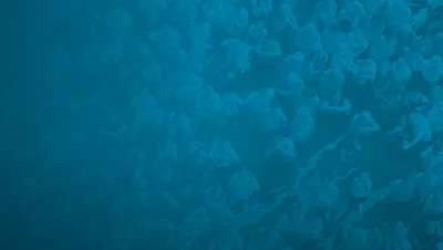 Complex genetic variation in nearly complete human genomes