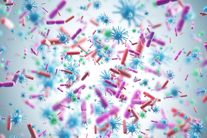 Targeted nanopore sequencing for bacterial and viral classification