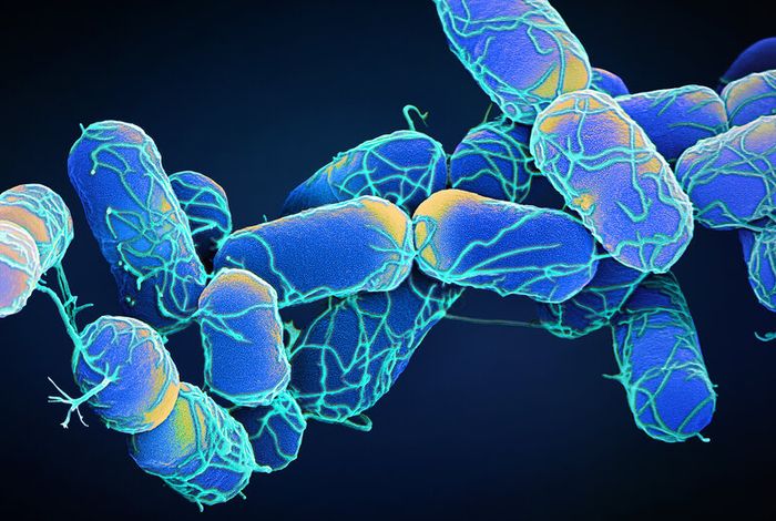 White paper: pathogen surveillance