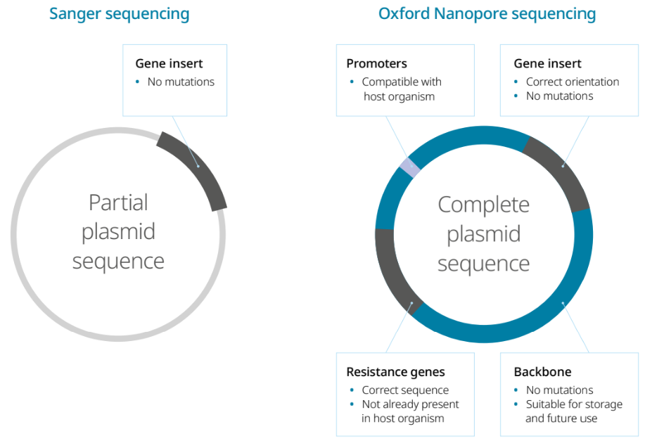 Diagram comparing Sanger and Oxford Nanopore sequencing; features include gene insert, promoters, resistance genes, and backbone differences.