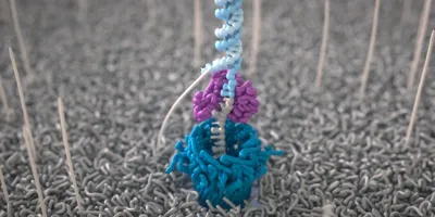 Toward single-molecule protein sequencing using nanopores