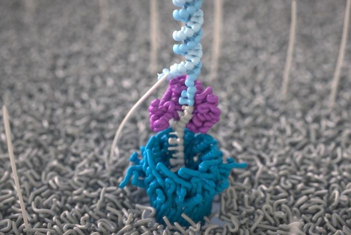 Toward single-molecule protein sequencing using nanopores