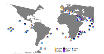 Long-read metagenomics reveals cryptic and abundant marine viruses