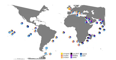 Long-read metagenomics reveals cryptic and abundant marine viruses