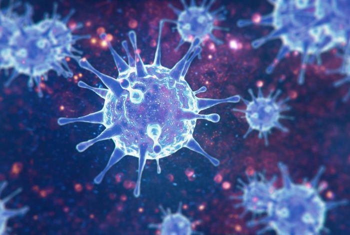 Stability of SARS-CoV-2 Phylogenies