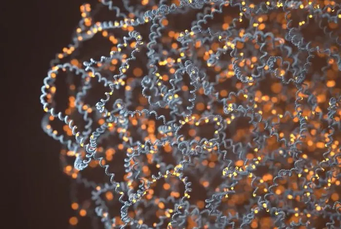 Epigenetic patterns in a complete human genome