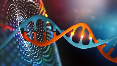 DNA helix- potential mutation