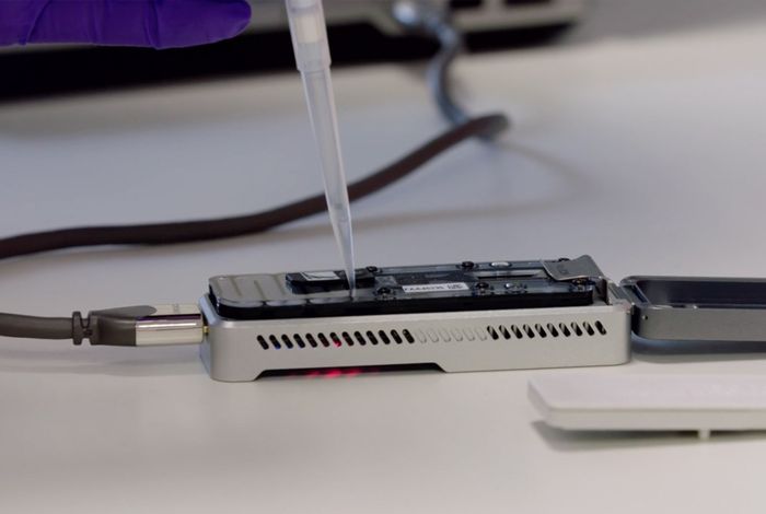 Use of Unamplified RNA/cDNA–Hybrid Nanopore Sequencing for Rapid Detection and Characterization of RNA Viruses