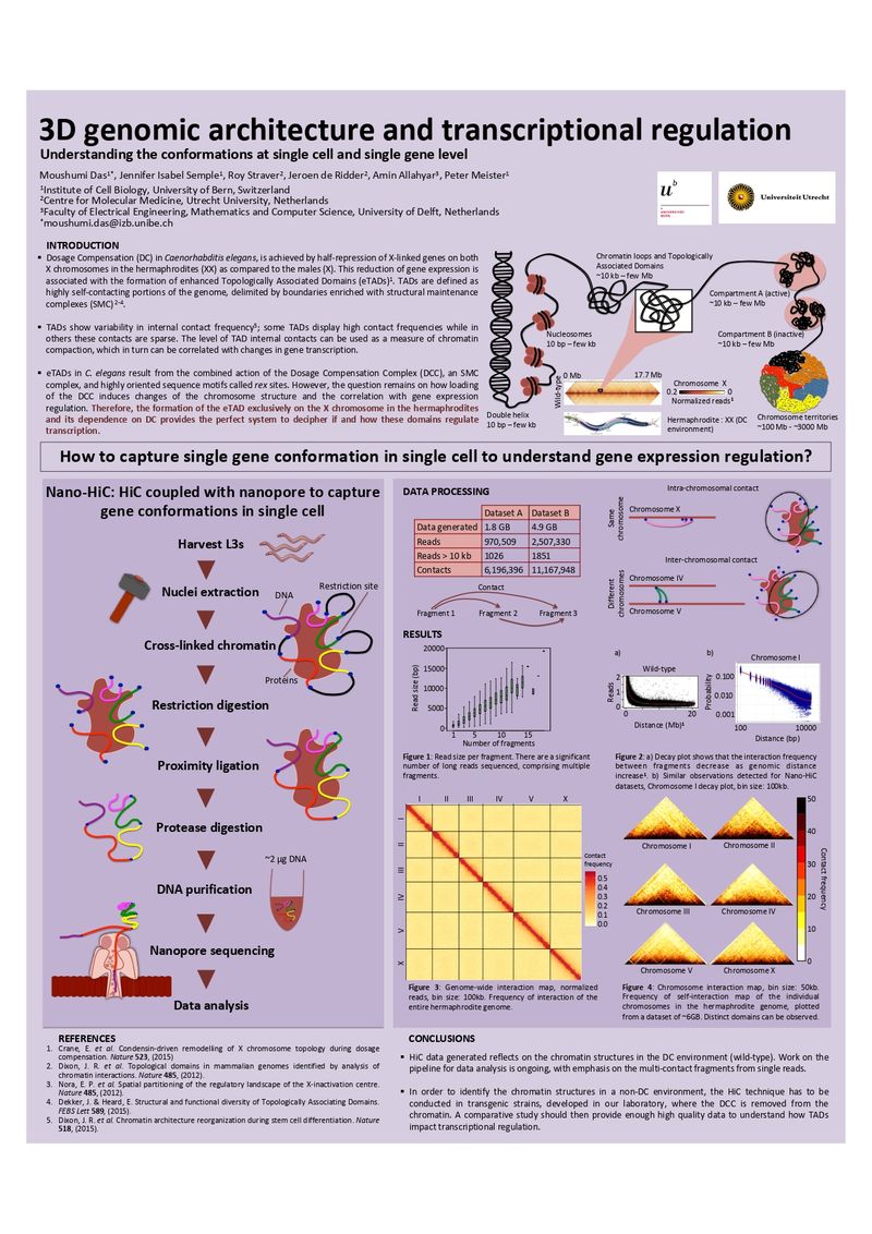 3d Genomic architecture and transcriptional regulation
