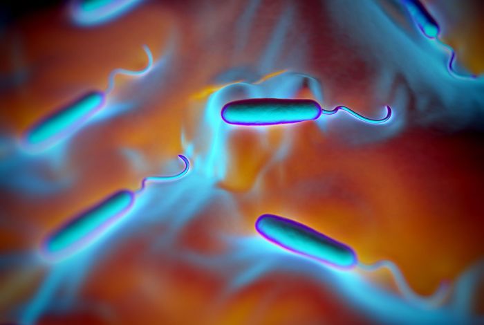 Rapid metagenomics analysis of EMS vehicles for monitoring pathogen load using nanopore DNA sequencing