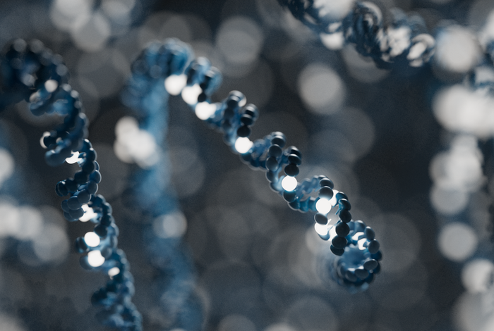 Science unlocked: publication picks from December 2025