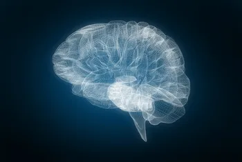 Intraoperative DNA methylation classification of brain tumors impacts neurosurgical strategy