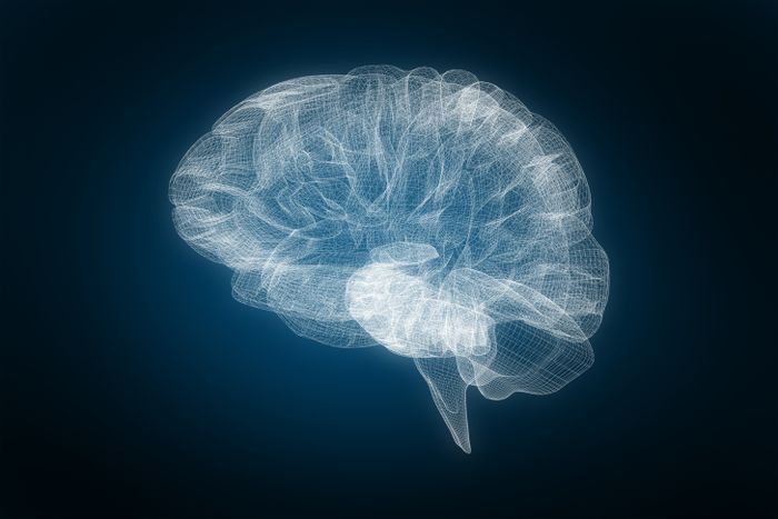 Intraoperative DNA methylation classification of brain tumors impacts neurosurgical strategy
