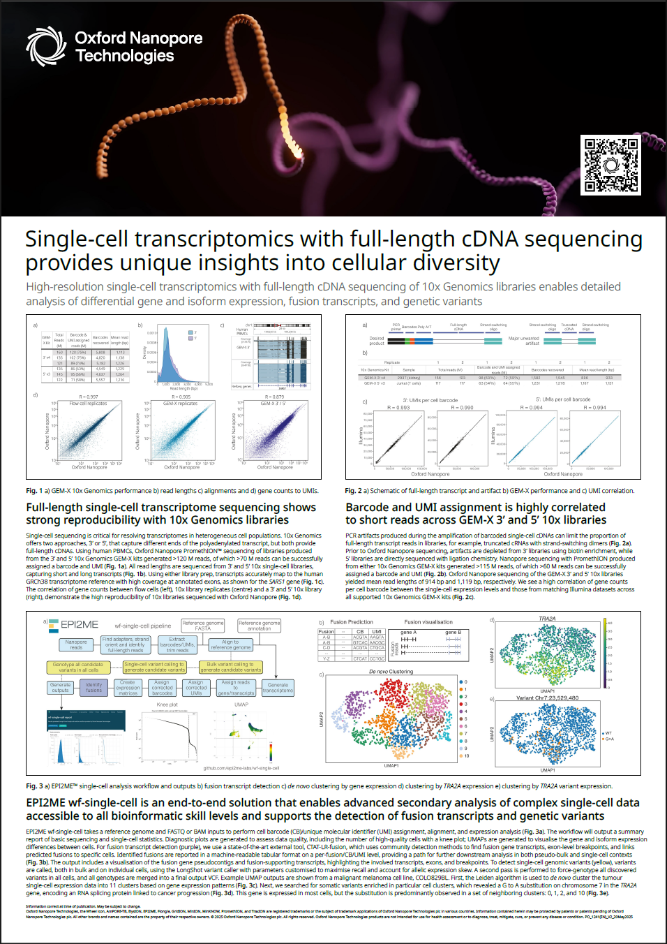 LC2025 Single cell PO_1241