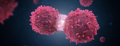 Detection of structural variations and fusion genes in breast cancer samples using third-generation sequencing