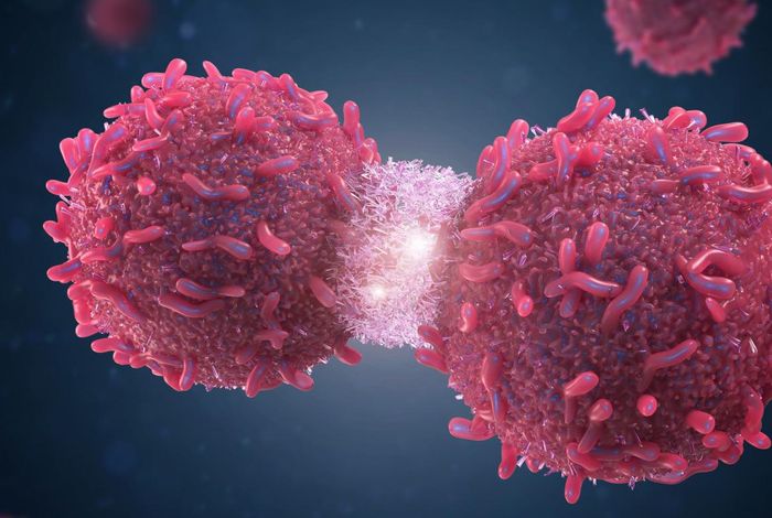 Detection of structural variations and fusion genes in breast cancer samples using third-generation sequencing