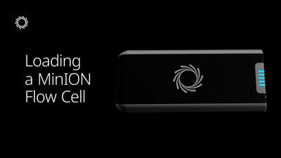 How do I load a MinION Flow Cell
