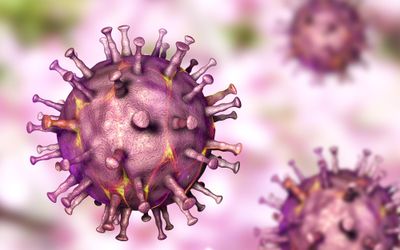 African swine fever virus 3D illustration