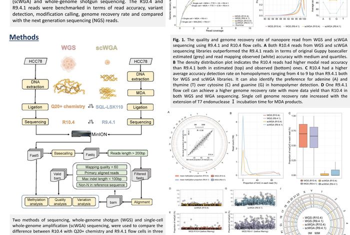 Whole-genome DNA sequencing using nanopore R10.4 promises best  practice for single-cell variation detection and methylation profiling