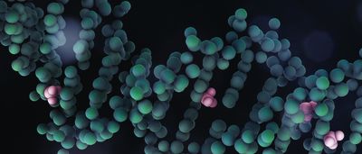 Variants in DNA