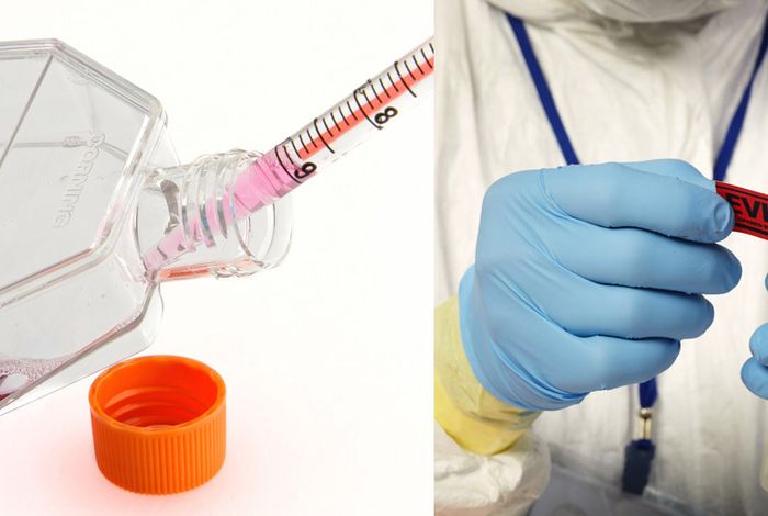 Rapid re-identification of human samples using portable DNA sequencing