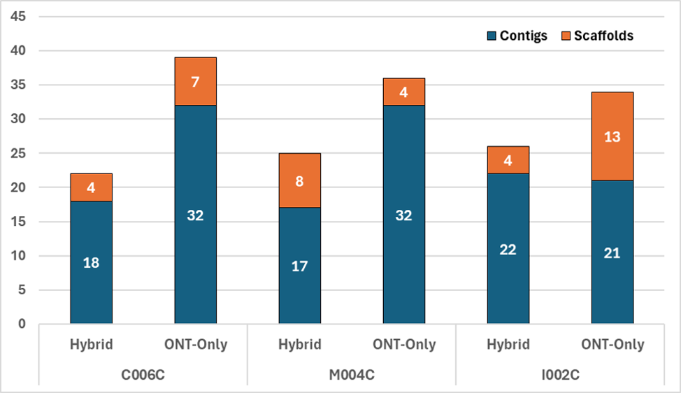 Graph comparing hybrid vs Oxford Nanopore-only assemblies