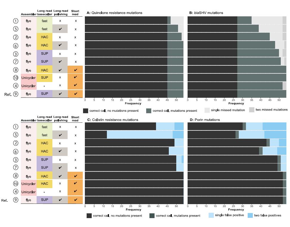 Two graphs depicting AMR-associated mutations