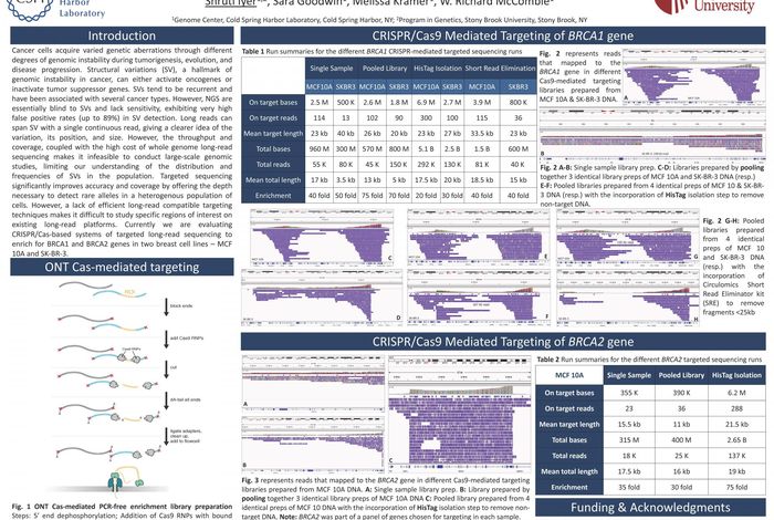 Understanding genetic variation in cancer using targeted long-read sequencing