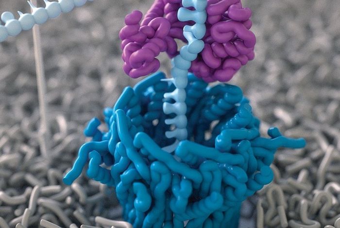 SquiggleFilter: An accelerator for portable virus detection