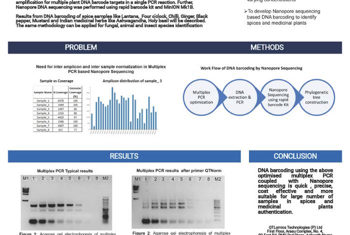 Normalization of samples and amplicons in multiplex PCR